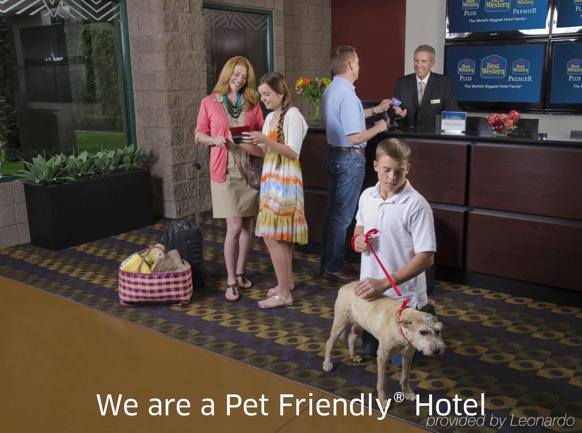 Best Western Socorro Hotel&Suites Exterior foto